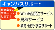 �L�����p�X�T�|�[�g