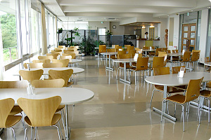 Cafe Dining Kitchen TAKIGAWA