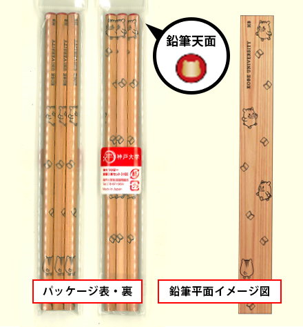 鉛筆（天面にうりぼーフェイス輪郭金箔押し）