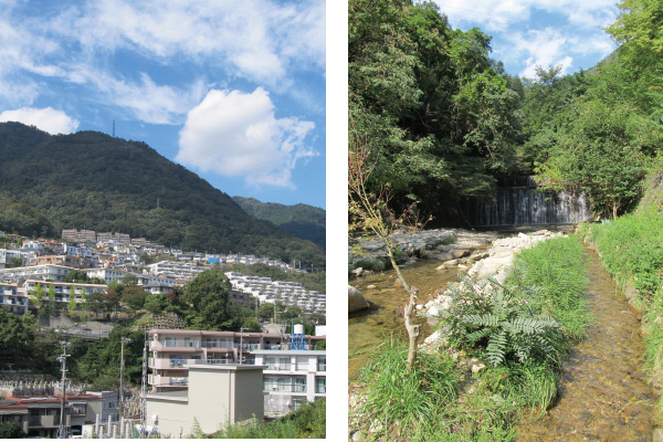 篠原台周辺　六甲川